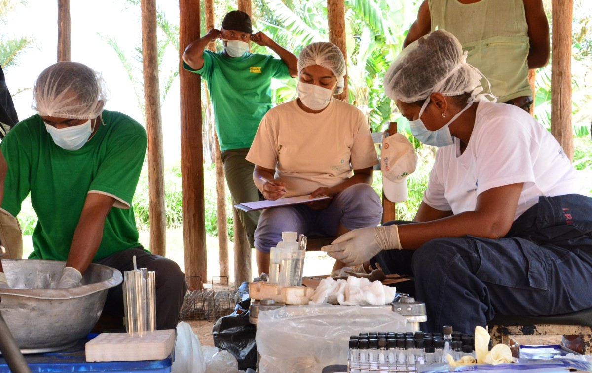 Investigation de peste à Ambalarano Inosy, Befotaka en Décembre 2016