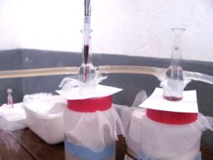 gorgement sur membrane (voir illustration) selon la technique dénommée SMFA