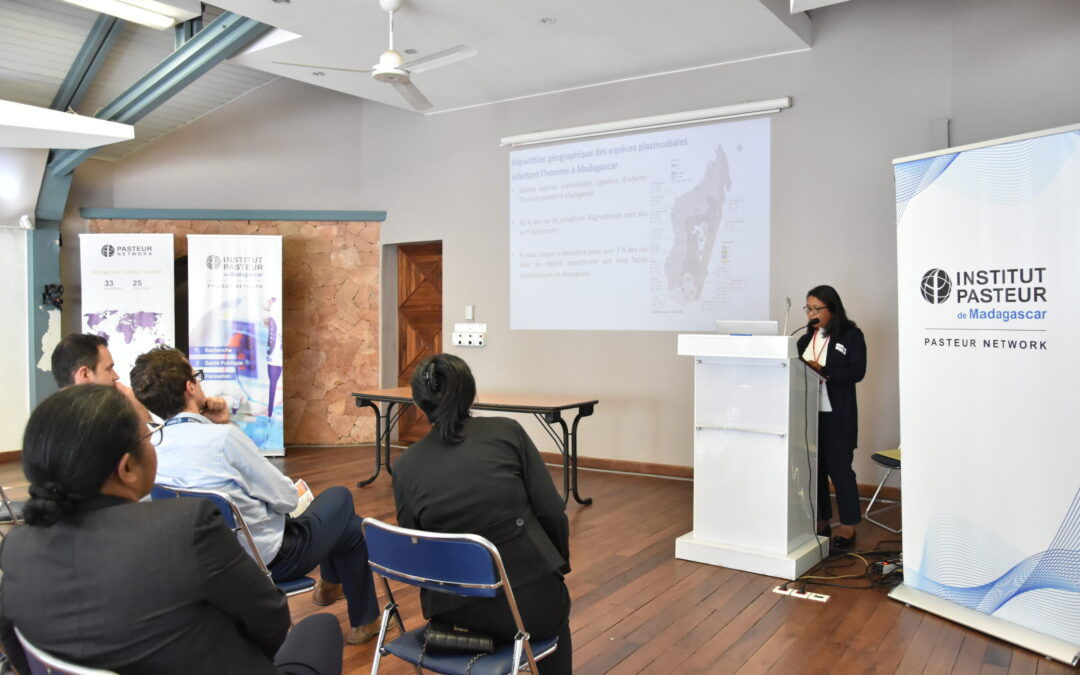 Réunion de lancement du projet PvSTATEM à Madagascar