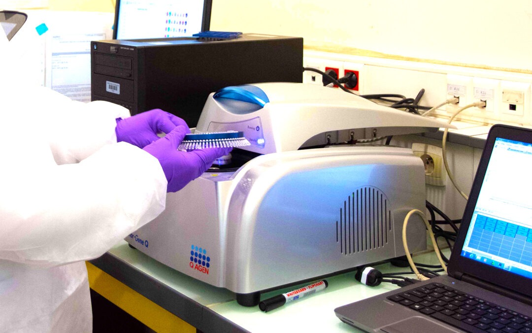 Les valeurs du cycle seuil de la RT-PCR reflètent la dynamique épidémique de la COVID-19 à Madagascar