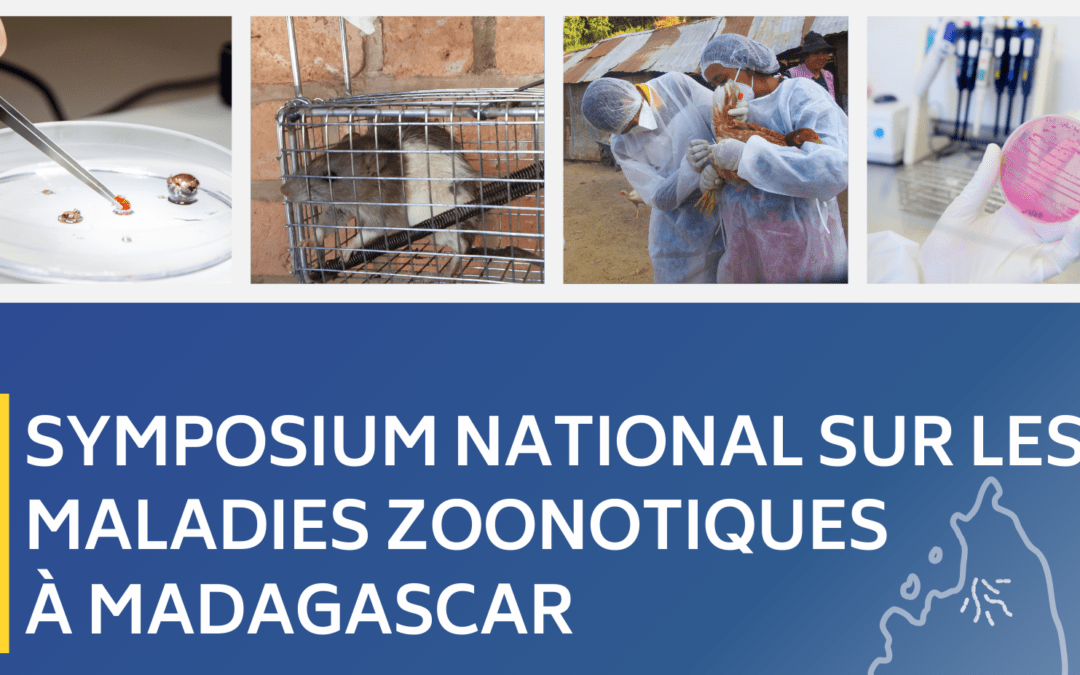 L’Institut Pasteur de Madagascar organise un symposium national sur les maladies zoonotiques à Madagascar – Les inscriptions sont ouvertes